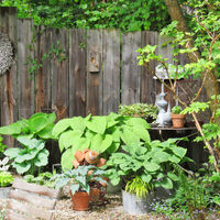 Der Garten von Pierrette und JeanLuc Kieny in Diebolsheim im Elsass