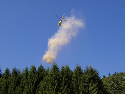 Ein Hubschrauber wirft gemahlener Kalkstein über Waldflächen des Ortenaukreises ab. Foto: LRA