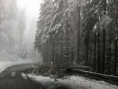 An der Oppenauer Steige (Landesstrae L 92) ist momentan kein Straenverkehr mglich, gefhrlicher Schneebruch erschwert die Aufrumarbeiten.