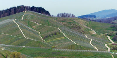 Flurbereinigungsverfahren Kappelrodeck-Eichwald