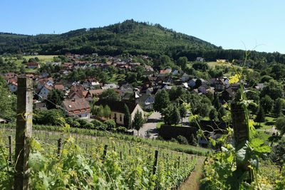 Gemeinde Hohberg
