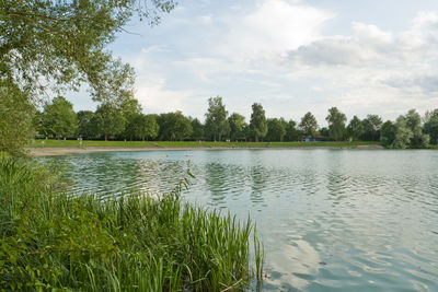 Gemeinde Schutterwald