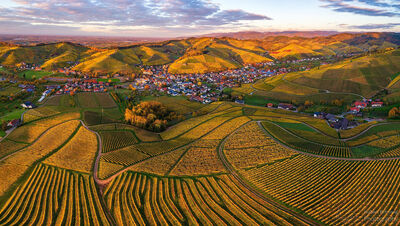 Weinparadies Ortenau