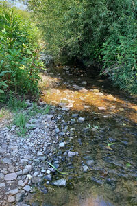 Durbach unterhalb Ebersweier