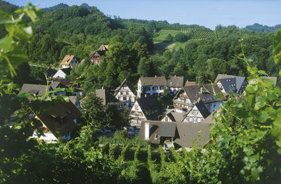 Gemeinde Sasbachwalden