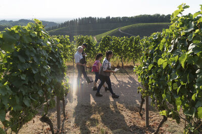 Wanderer auf den Spuren der Melusine durch die Durbacher Weinberge