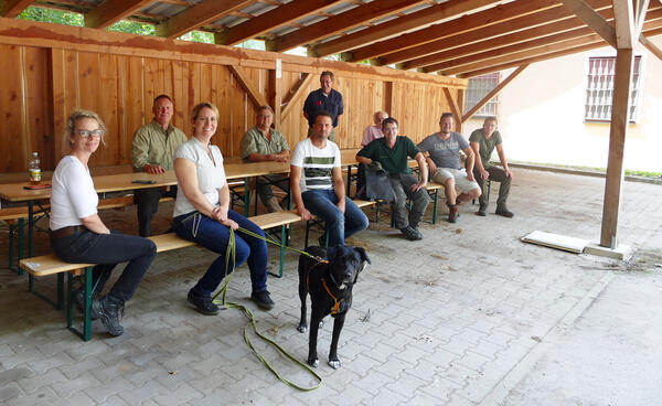 bungsprogramm fr Jagdhunde zum Aufsuchen verendeter Wildschweine