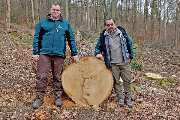 Offenburger_Submission_Revierleiter_Stadtwald Lahr