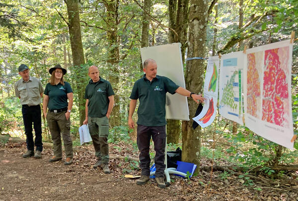 Waldbegehung_Schaubilder