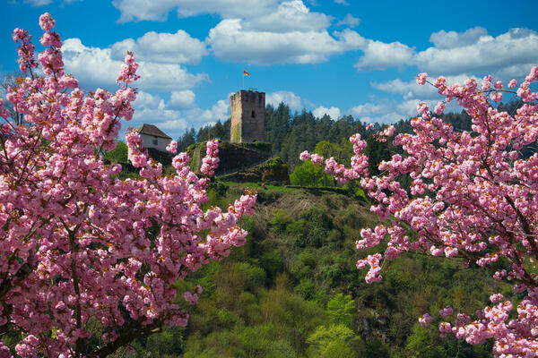 Hornberg, Frühling am Schloß
