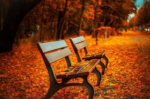 Herbstbild 1