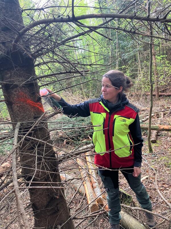 Ronja Schneider bei der Arbeit