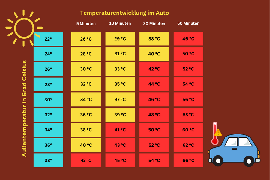 Beitrag Hitze - Temperaturentwicklung im Auto