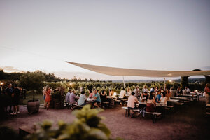 DORT - Weingarten_Bieselin