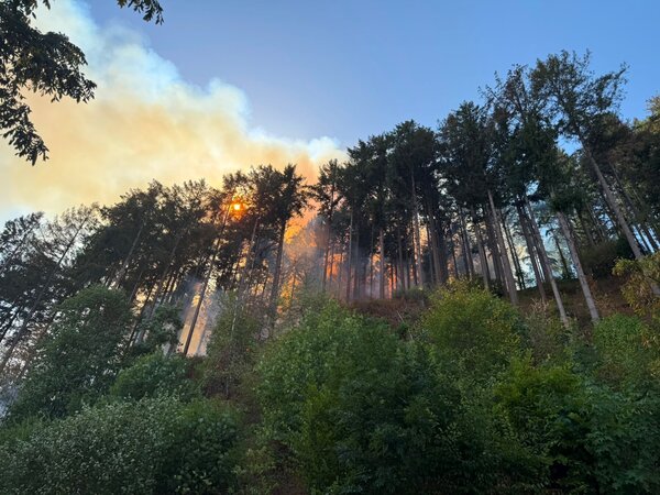 Waldbrand Steinach