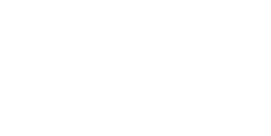 Logo Ortenaukreis PNG (wei&szlig;)